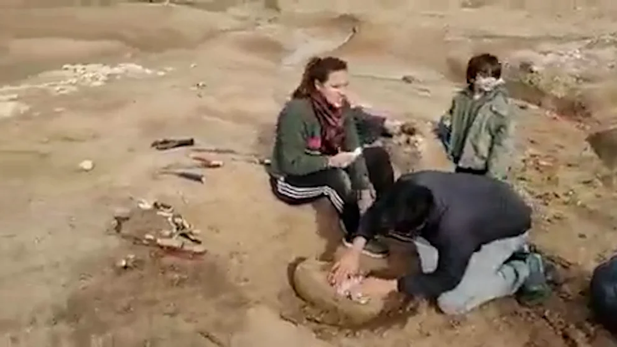 Vicente Di Iorio tiene 8 años y es el responsable de este importante descubrimiento paleontológico