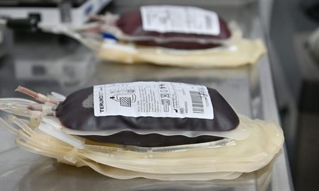 La nueva normativa nacional sobre el sistema de sangre formaliza un modelo que Santa Fe ya había adoptado y es pionero en el país. La nueva normativa nacional sobre el sistema de sangre formaliza un modelo que Santa Fe ya había adoptado y es pionero en el país.