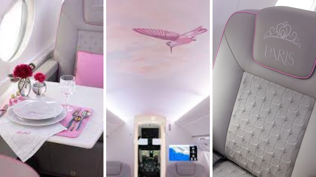 El jet privado de Paris Hilton por dentro. El jet privado de Paris Hilton por dentro.