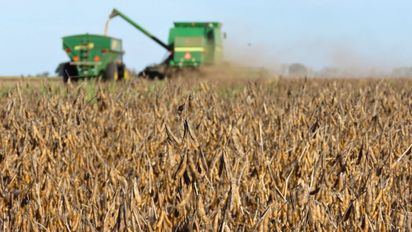 Retenciones: el Gobierno nacional anunció una nueva baja en la soja, el maíz, el trigo y el girasol