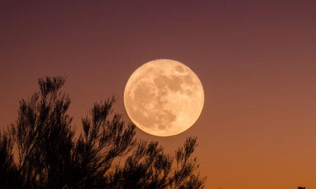 Aire de Santa Fe | Luna llena en Acuario y un mensaje para cada signo