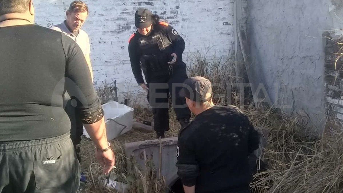 Personal de la Municipalidad de Santa Fe y de la Policía Comunitaria rescató a los perros en Villa Hipódromo.