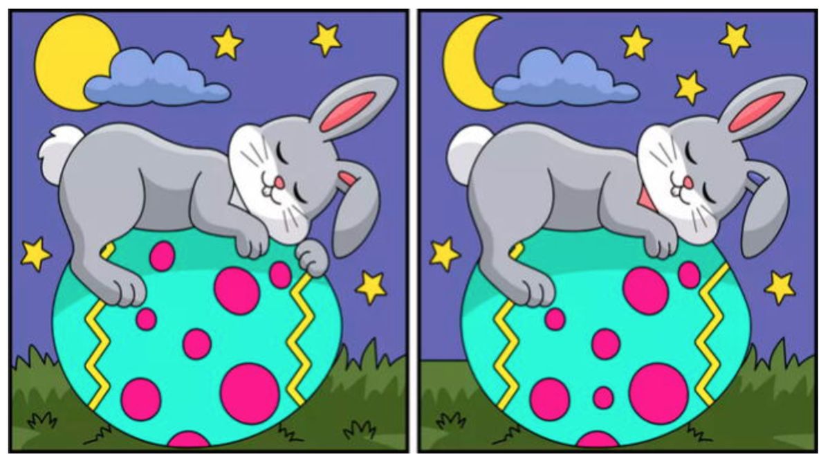 RETO VISUAL nivel PRO: solo el 2% encontró las 10 diferencias ¡en 5 segundos!