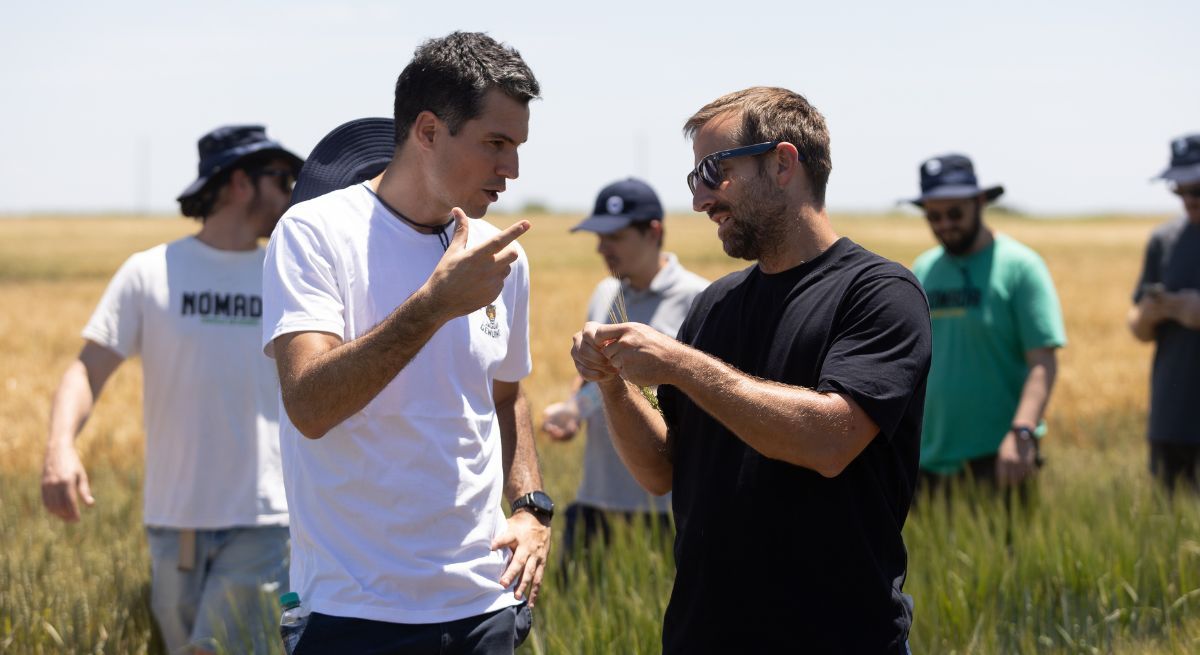 Se recorrieron y observaron 21 parcelas con diferentes momentos de siembra, tratamientos y tipos de cebada. Se recorrieron y observaron 21 parcelas con diferentes momentos de siembra, tratamientos y tipos de cebada.