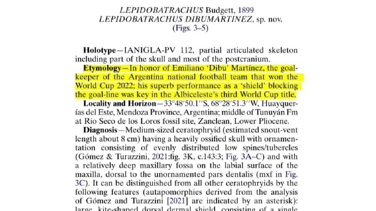 Un grupo de paleontólogos nacionales ya decidieron ponerle su nombre a una especie prehistórica descubierta en Mendoza.