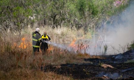 De viernes a este martes hubo 38 incendios en Santa Fe. De viernes a este martes hubo 38 incendios en Santa Fe.