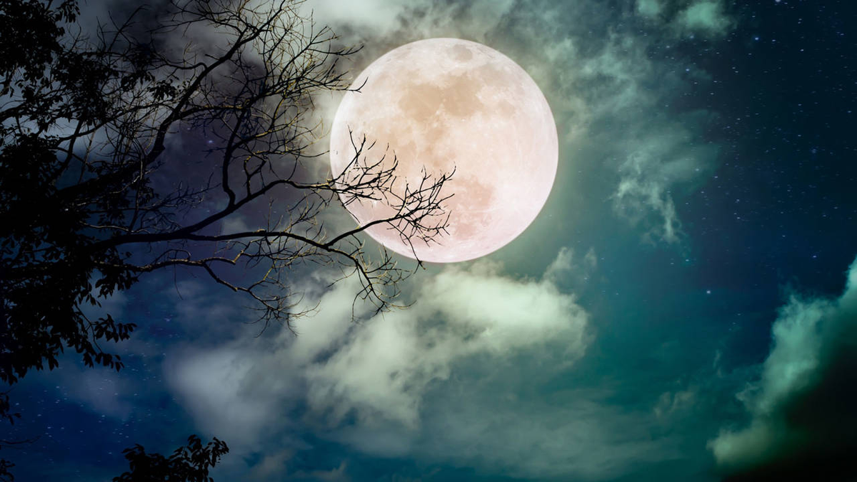 La luna llena de diciembre se conoce como "Luna Fría". La luna llena de diciembre se conoce como "Luna Fría".