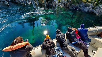 Escapada a un bosque bajo el agua cerca de Bariloche: un paisaje único y poco conocido