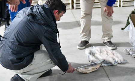 Aire de Santa Fe | acopio pesca sabalo2