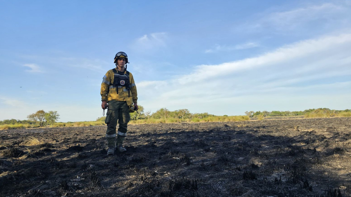 Con 16 vehículos y un avión hidrante