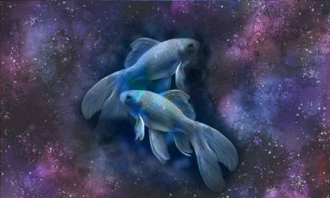 Dejan a un lado su ego con tal de generar vínculos duraderos