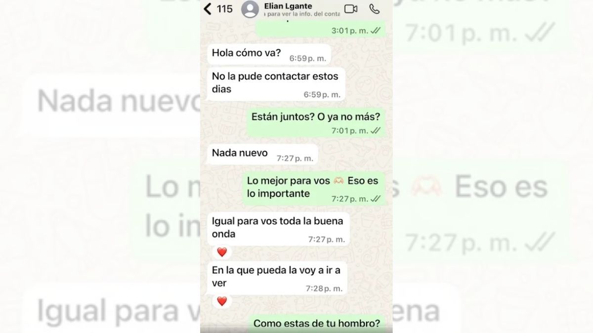 Los chats de L-Gante sobre Wanda Nara. Los chats de L-Gante sobre Wanda Nara.