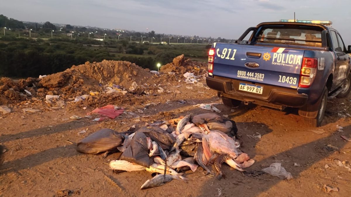 Los pescados incautados fueron posteriormente decomisados en el relleno sanitario de Santa Fe.