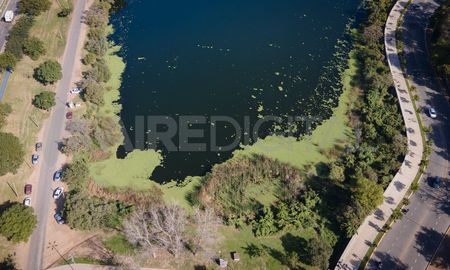 Así se ve el embalsado en el lago del Parque del Sur desde el drone de AIRE. Así se ve el embalsado en el lago del Parque del Sur desde el drone de AIRE.