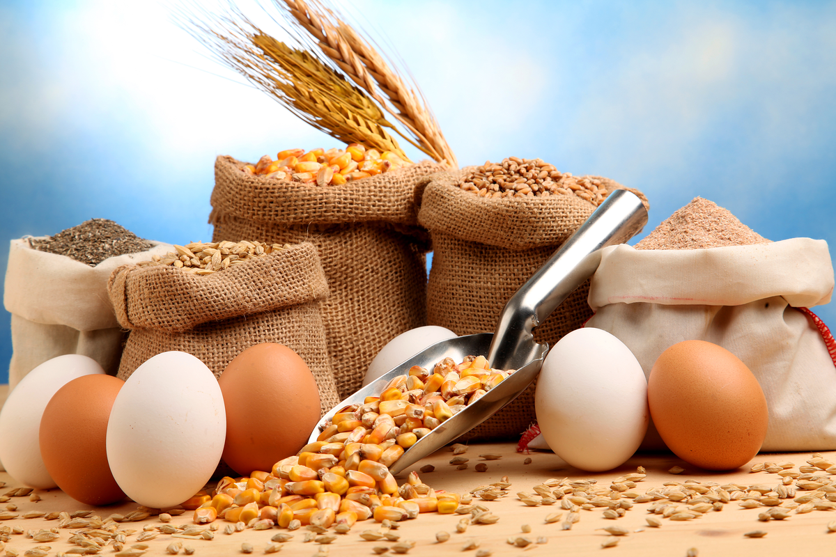 La fuente de vitamina D esencial para tus músculos