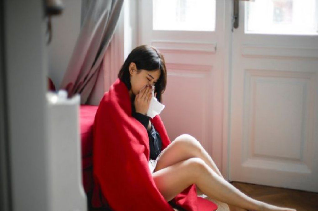 Plantas fortalecen tu sistema inmune y refuerzan las defensas