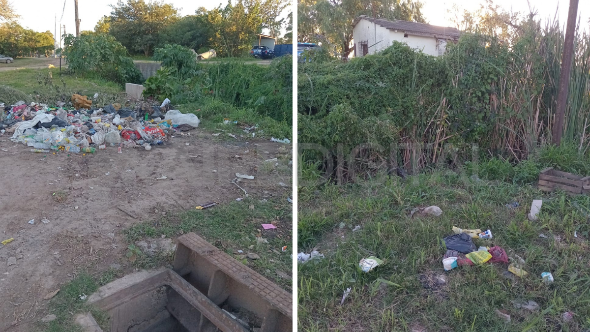 Basura y pastizales altos: la preocupación de los vecinos de Ciudadela Norte.