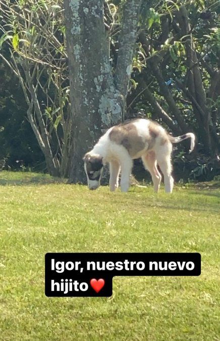 Igor Tinelli, el nuevo integrante del clan que ya se robó el corazón de todos.