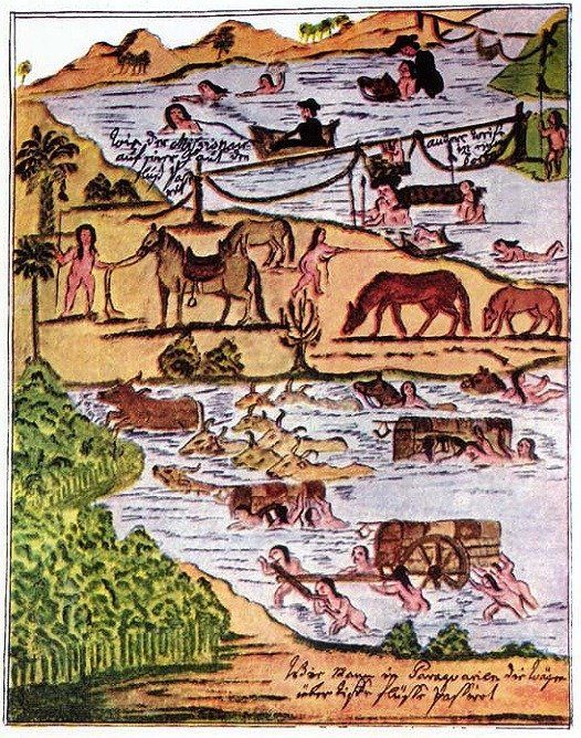 El pasto para el ganado y los caballos era una de las principales preocupaciones en tiempos de sequías y crecidas, como muestra esta pintura del misionero jesuita Florián Paucke.