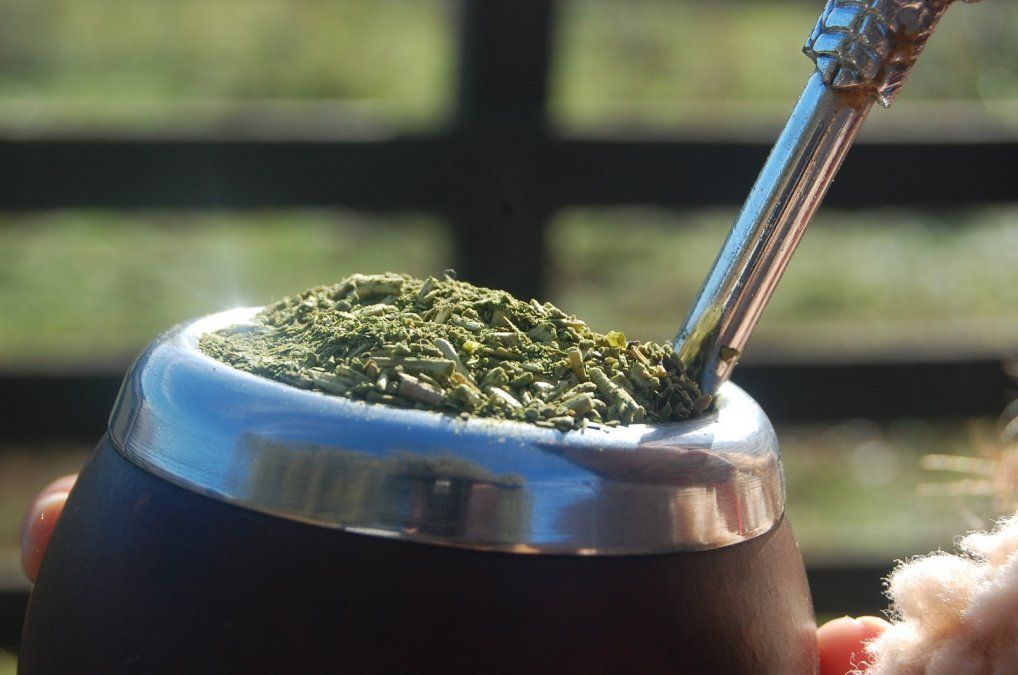 En el Día del Mate, te contamos 5 mitos sobre una de las bebidas nacionales