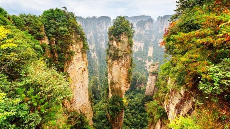 Avatar cumple 10 años:  la ciencia ficción que suena cada vez más realista