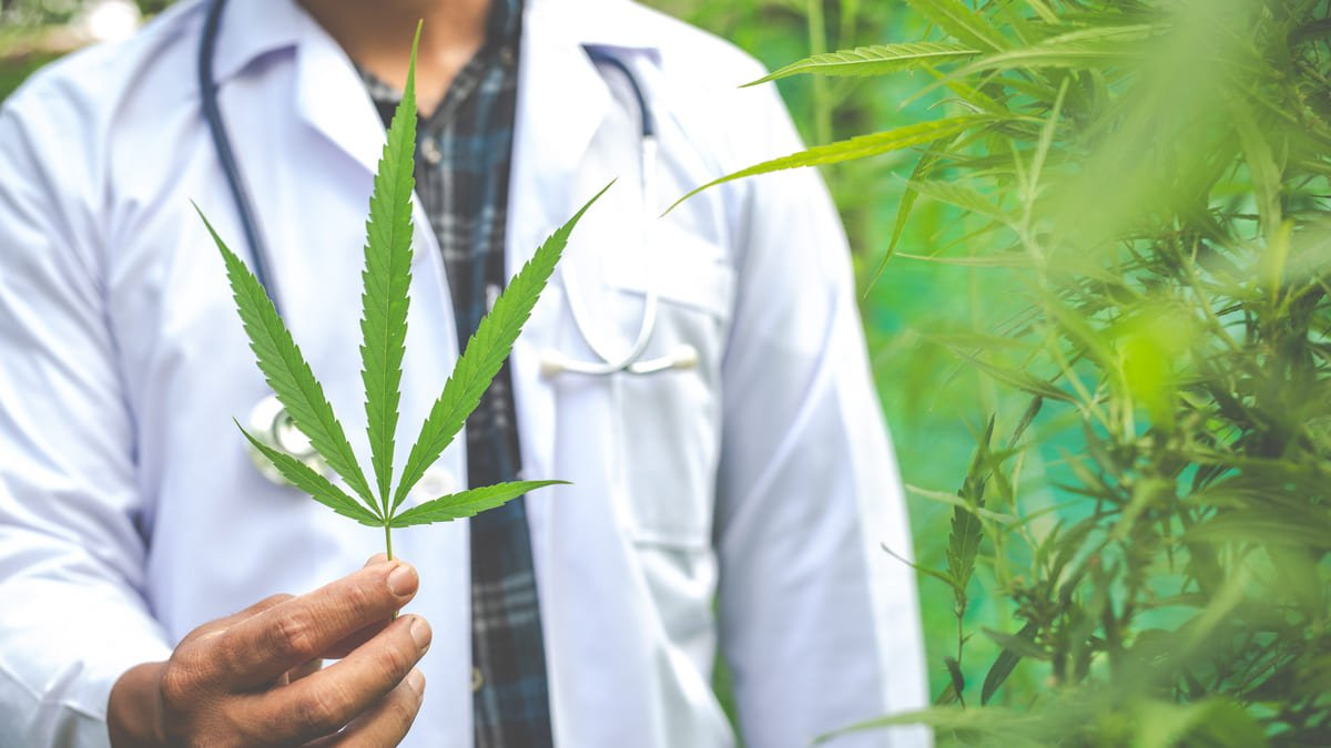 La ANMAT permitirá la importación de productos derivados del cannabis para uso medicinal