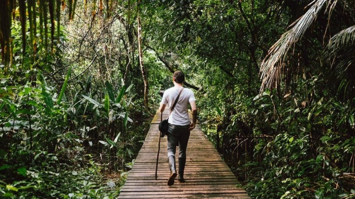 El mejor destino con clima subtropical para descansar un fin de semana largo.