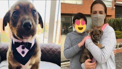 Una historia muy triste, con un final muy feliz: Vicente el perrito al que dejaron plantado el d&iacute;a de su adopci&oacute;n encontr&oacute; familia&nbsp;