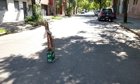 En calle San Lorenzo al 1700 un socavón produjo el hundimiento del pavimento. Los vecinos debieron señalizarlo como pudieron. En calle San Lorenzo al 1700 un socavón produjo el hundimiento del pavimento. Los vecinos debieron señalizarlo como pudieron.