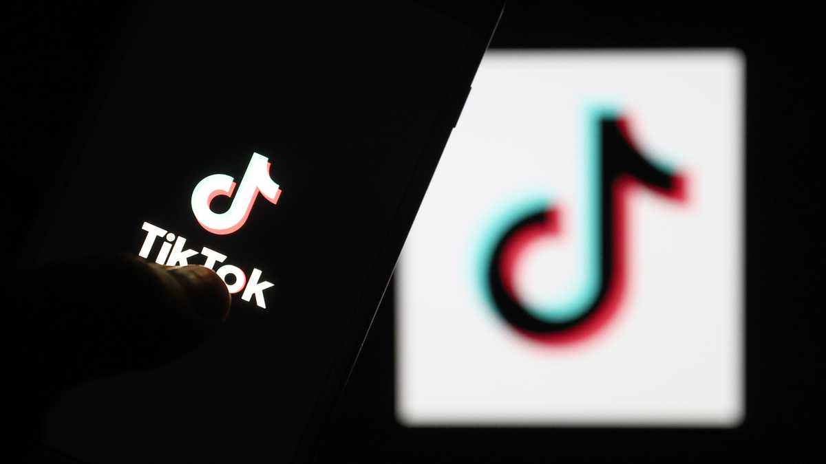 TikTok es una de las aplicaciones del momento.