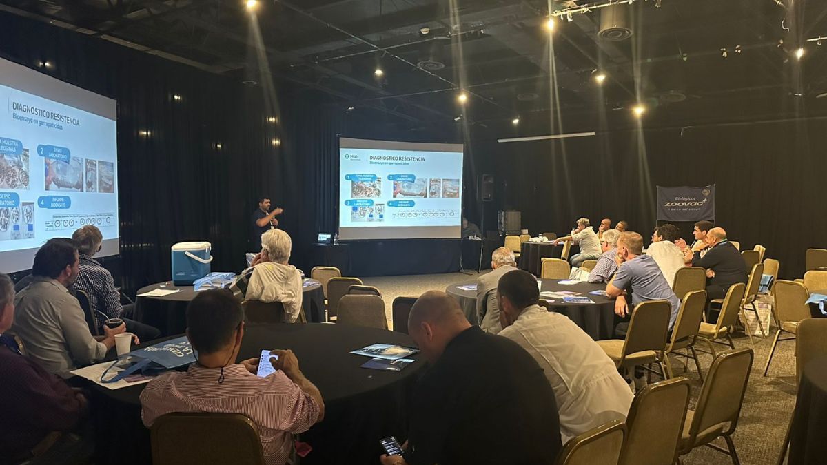 El congreso estuvo organizado en distintas áreas de la profesión, con salas dedicadas a animales de compañía, ganadería y equinos. El congreso estuvo organizado en distintas áreas de la profesión, con salas dedicadas a animales de compañía, ganadería y equinos.