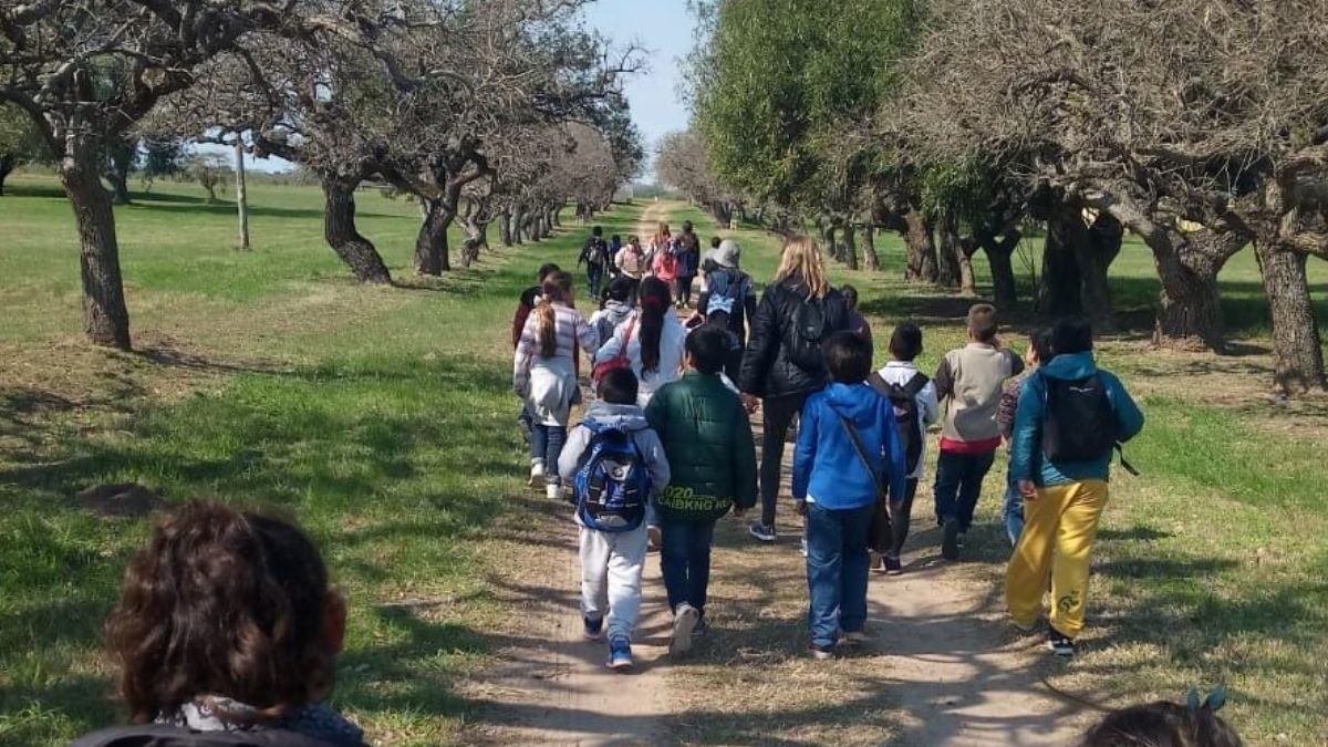 El medio rural permite a los chicos tener una relación constante con el entorno natural. El medio rural permite a los chicos tener una relación constante con el entorno natural.