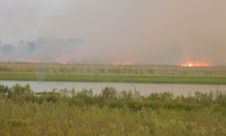 Los incendios que se dieron la semana pasada en la zona de la isla Cándida generó complicaciones en la visibilidad y salud de los santafesinos. Los incendios que se dieron la semana pasada en la zona de la isla Cándida generó complicaciones en la visibilidad y salud de los santafesinos.