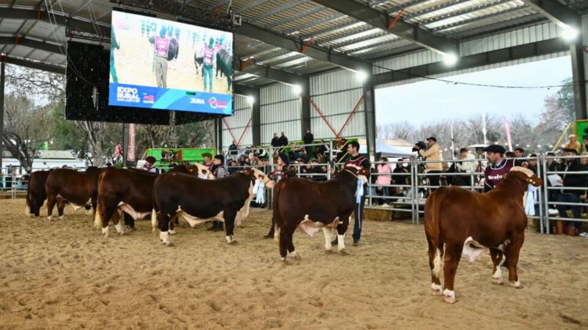 Suspendieron la Expo Rural de San Justo por las condiciones climáticas.
