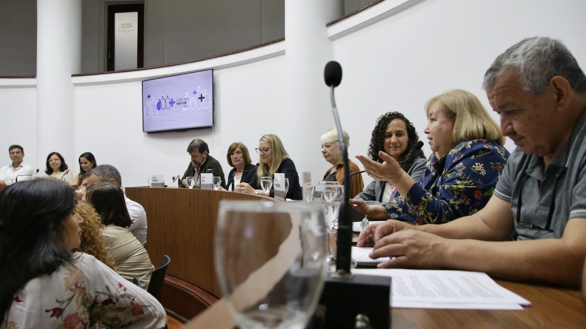 Los elegidos para sumarse al Programa Concejo Mayor tienen diferentes perfiles y experiencias de vida. Los elegidos para sumarse al Programa Concejo Mayor tienen diferentes perfiles y experiencias de vida.