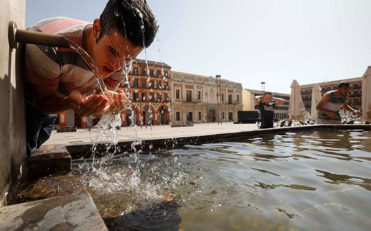La ola de calor provoca incendios en gran parte de Europa