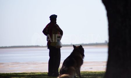 Desde las organizaciones proteccionistas de Santa Fe coinciden en que hubo un marcado crecimiento de la adopción de mascotas en Santa Fe. Desde las organizaciones proteccionistas de Santa Fe coinciden en que hubo un marcado crecimiento de la adopción de mascotas en Santa Fe.