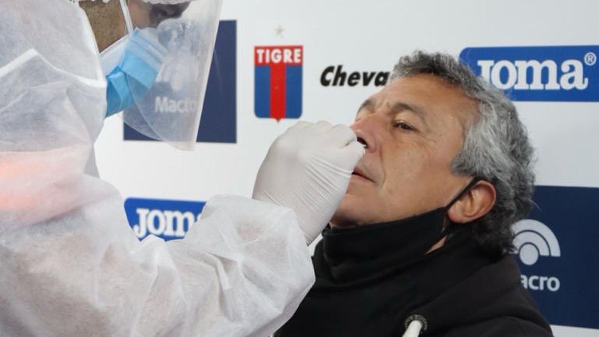 Todo el plantel de Tigre se sometió al hisopado PCR que exige Conmebol para poder disputar la Copa Libertadores.