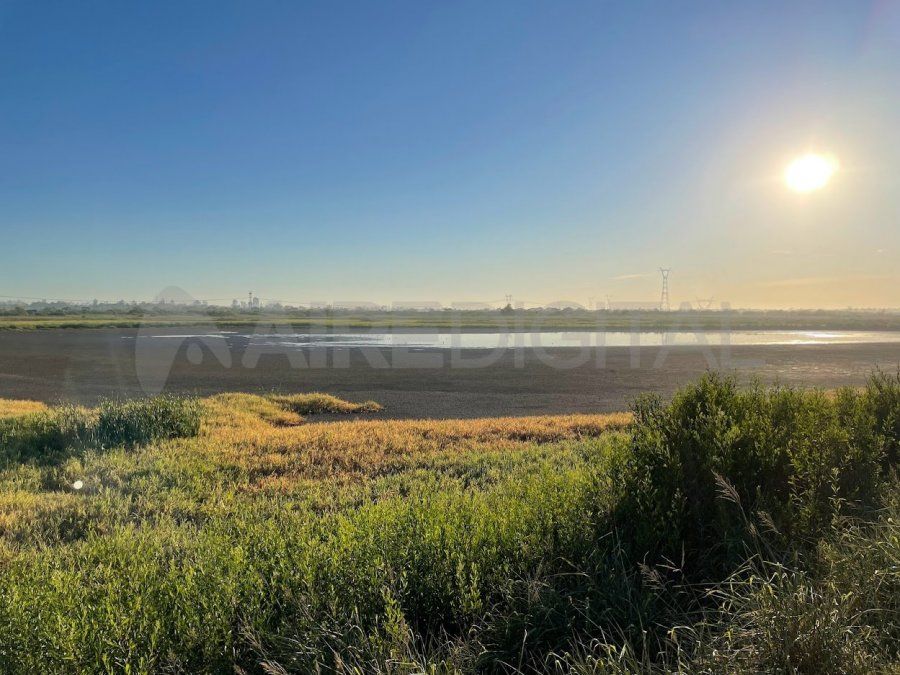Con el río Salado oscilando cerca de los 70 centímetros en Santo Tomé y sin lluvias, la laguna Juan de Garay (exlaguna Bedetti) está casi seca.