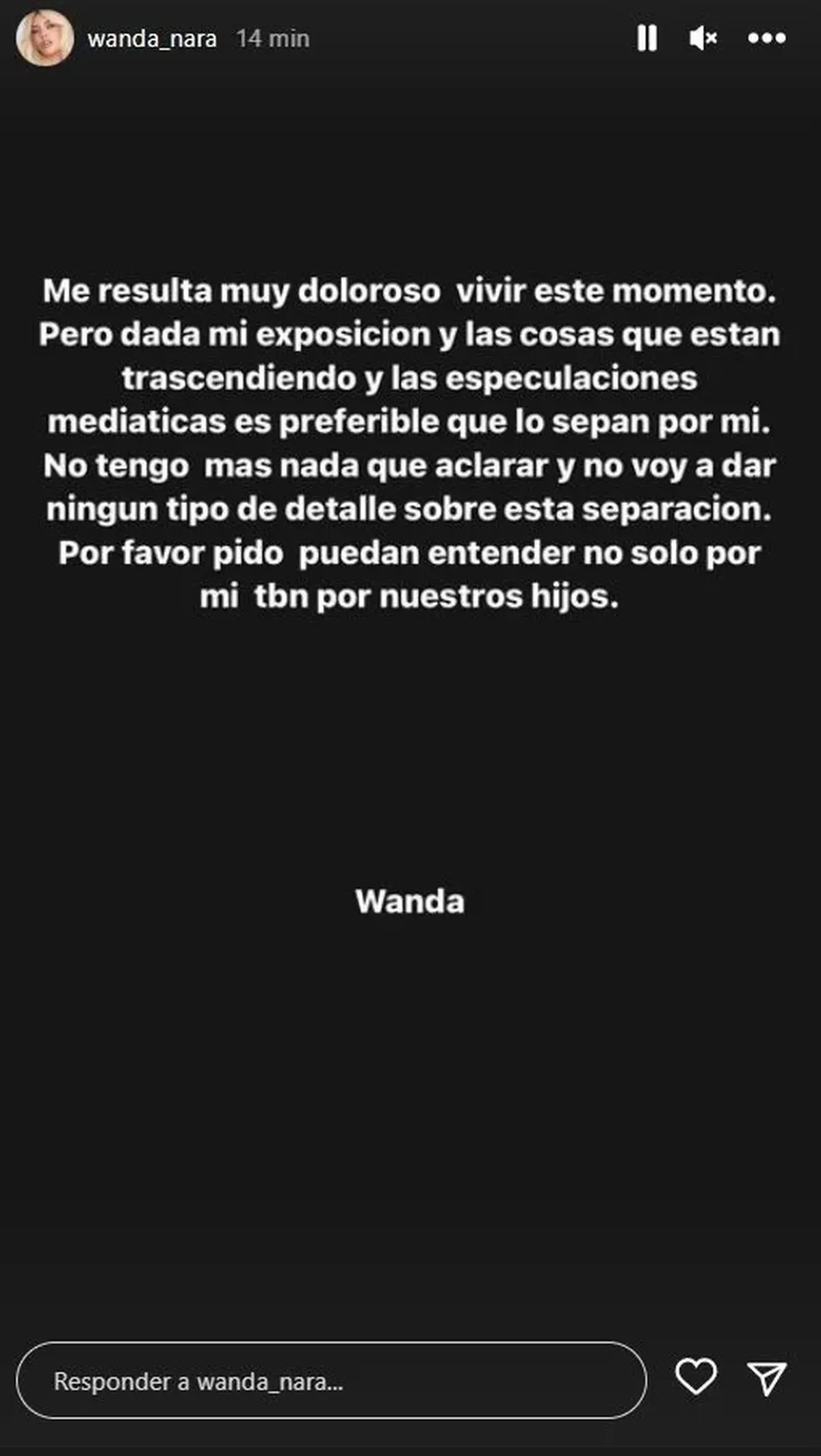 Wanda Nara confirmó su separación en historias de Instagram.