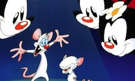 animaniacs y pinky y cerebro vuelven a la tv ¡con nuevos espisodios! animaniacs y pinky y cerebro vuelven a la tv ¡con nuevos espisodios!