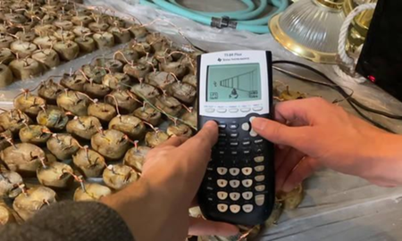 Con la energía producida por 45 kilos de papas, el youtuber Equalo posibilitó la ejecución del Doom en una calculadora Texas Instruments. Con la energía producida por 45 kilos de papas, el youtuber Equalo posibilitó la ejecución del Doom en una calculadora Texas Instruments.