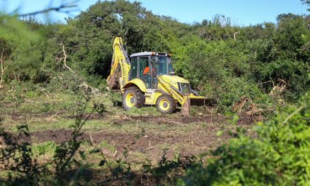 Los trabajos de excavación en Campo San Pedro se retomaron esta semana. Los trabajos de excavación en Campo San Pedro se retomaron esta semana.