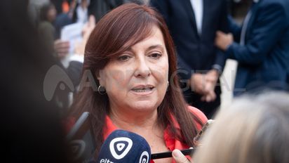 Celia Arena cuestionó que no se haya creado la comisión de seguimiento de la Emergencia en Seguridad