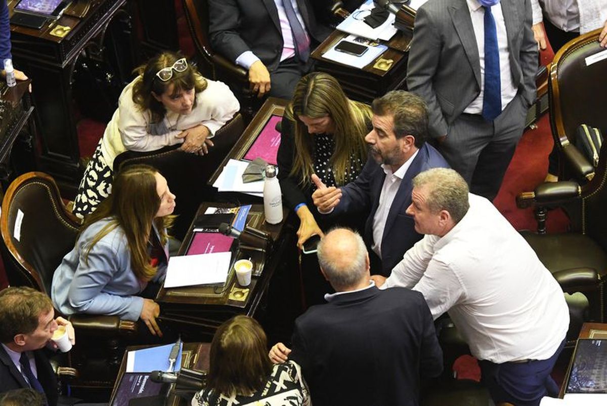 Los bloques opositores le dieron un rev&eacute;s al gobierno de Alberto Fern&aacute;ndez al rechazar el presupuesto 2022.