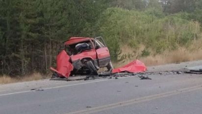Tragedia en Ruta 40: un hombre escapaba de los incendios forestales con su perro y murió en un choque frontal
