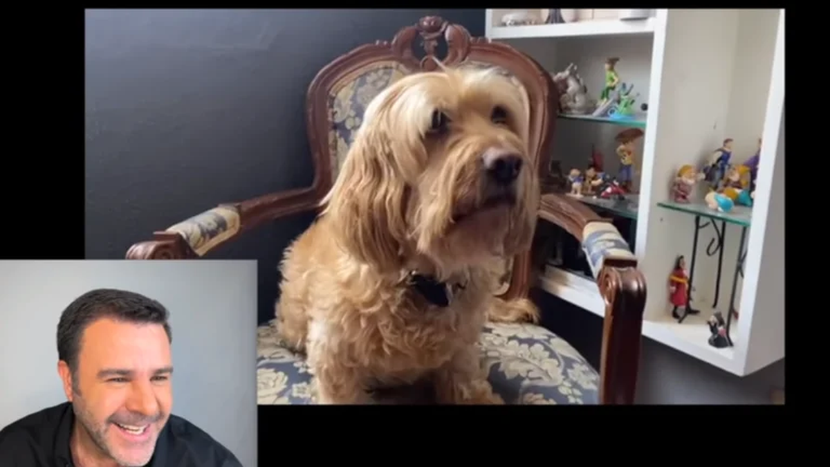 Thal&iacute;a confes&oacute; que llor&oacute; cuando supo que el perro que actu&oacute; a su lado falleci&oacute;.