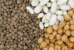 La calidad ya no alcanza para diferenciarse: ahora define si las legumbres argentinas siguen en los mercados La calidad ya no alcanza para diferenciarse: ahora define si las legumbres argentinas siguen en los mercados