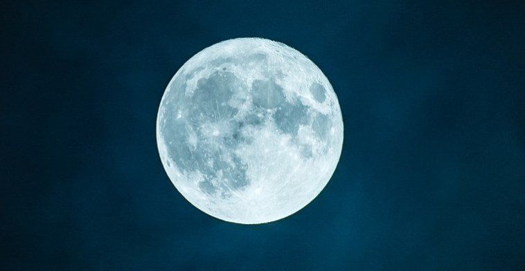 luna.jpg