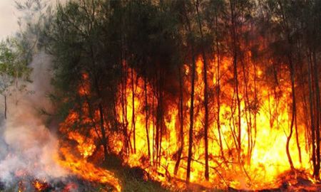 Misiones, con cuatro incendios activos, y Jujuy, con tres, son las provincias más afectadas por los incendios forestales que azotan desde hace meses el país Misiones, con cuatro incendios activos, y Jujuy, con tres, son las provincias más afectadas por los incendios forestales que azotan desde hace meses el país